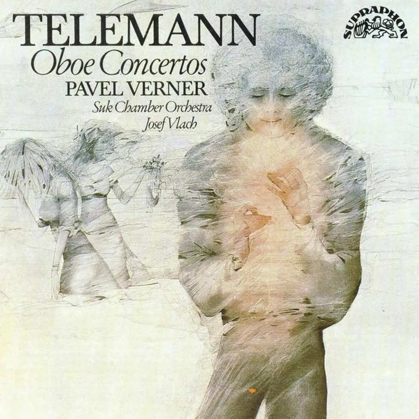 Suk Chamber Orchestra Brand Page