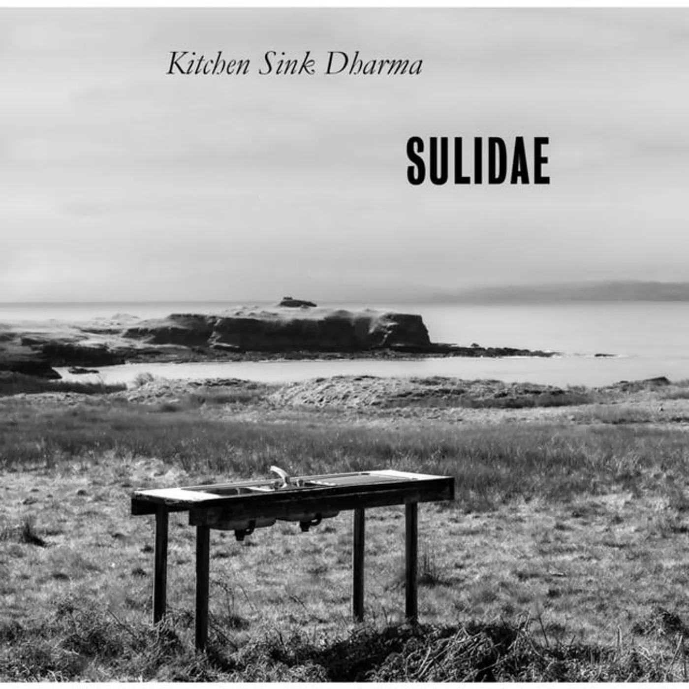 Sulidae