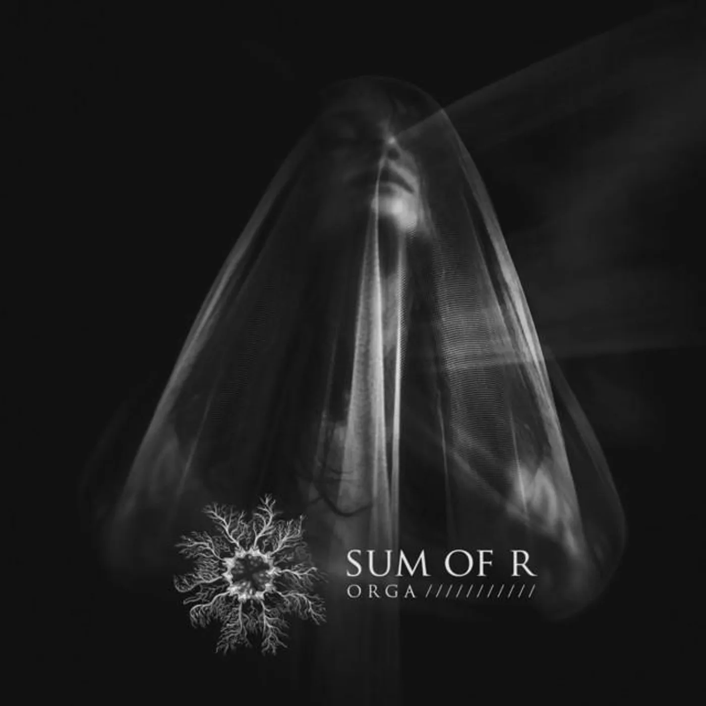 Sum of R Brand Page