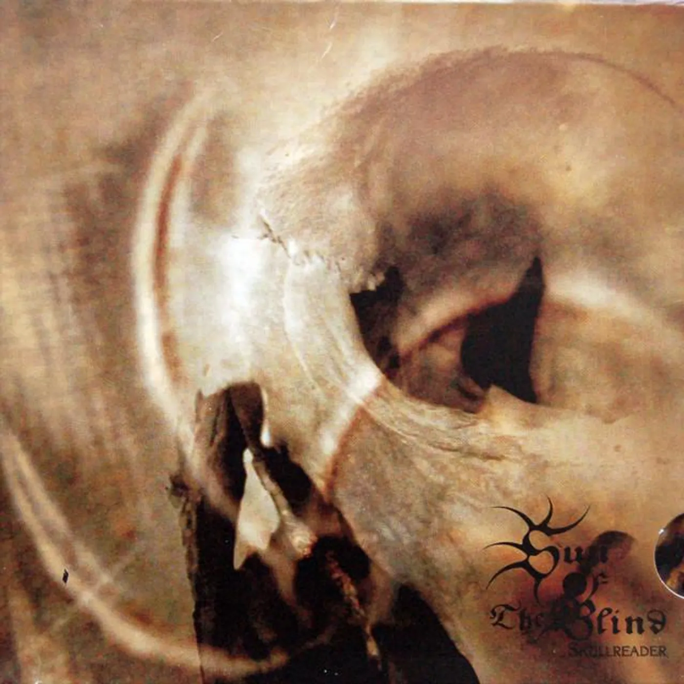 Sun of the Blind