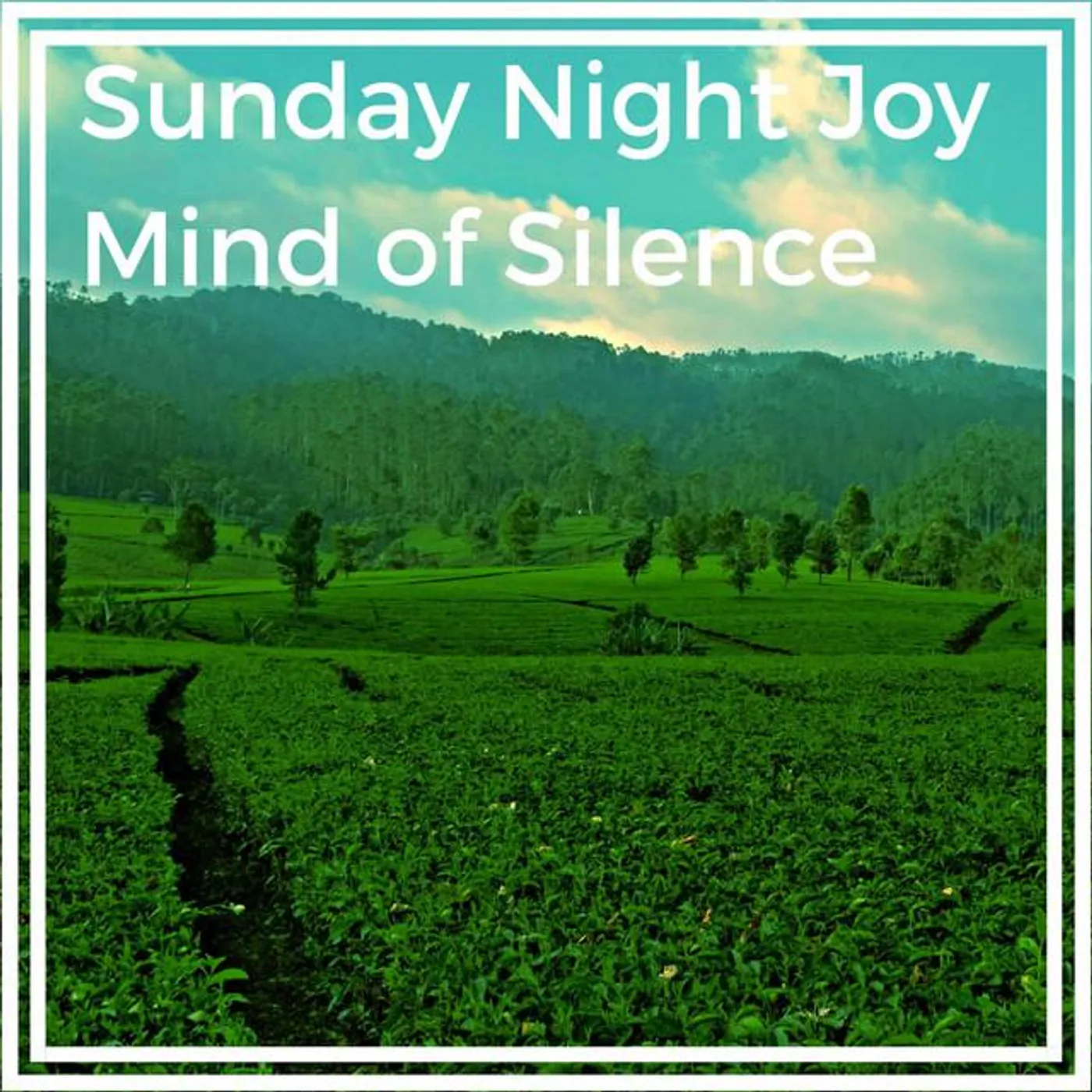 Sunday Night Joy
