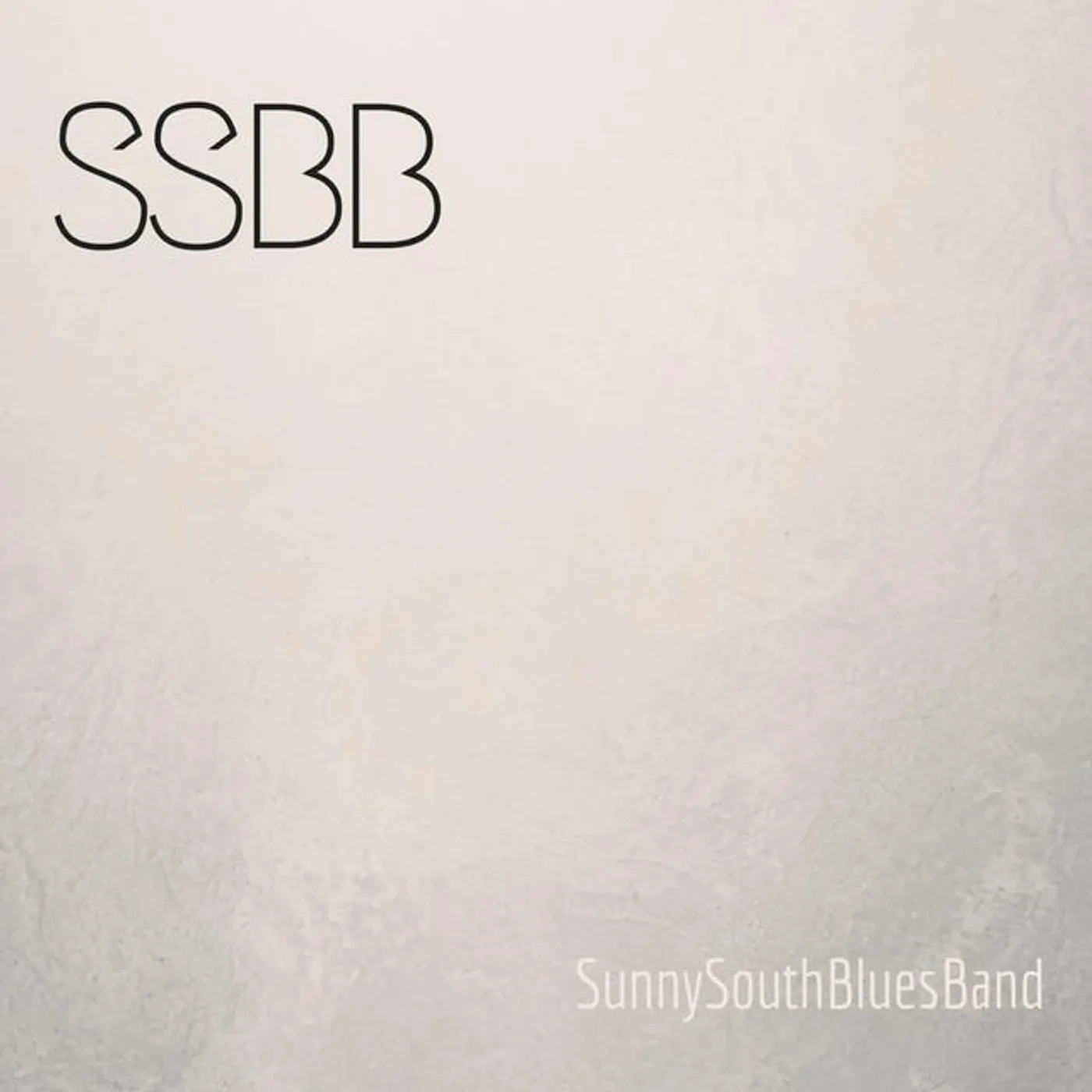 Sunny South Blues Band Brand Page