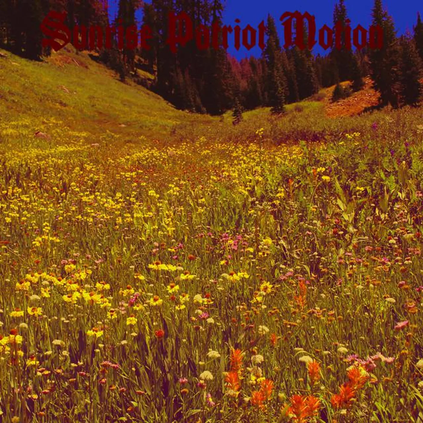 Sunrise Patriot Motion
