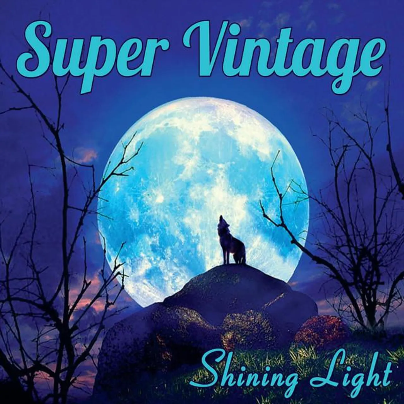 Super Vintage Brand Page