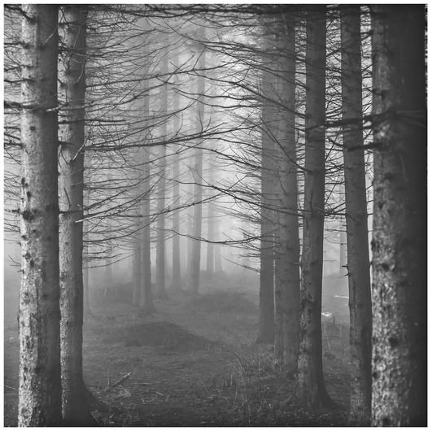 Sverker Johansson Brand Page