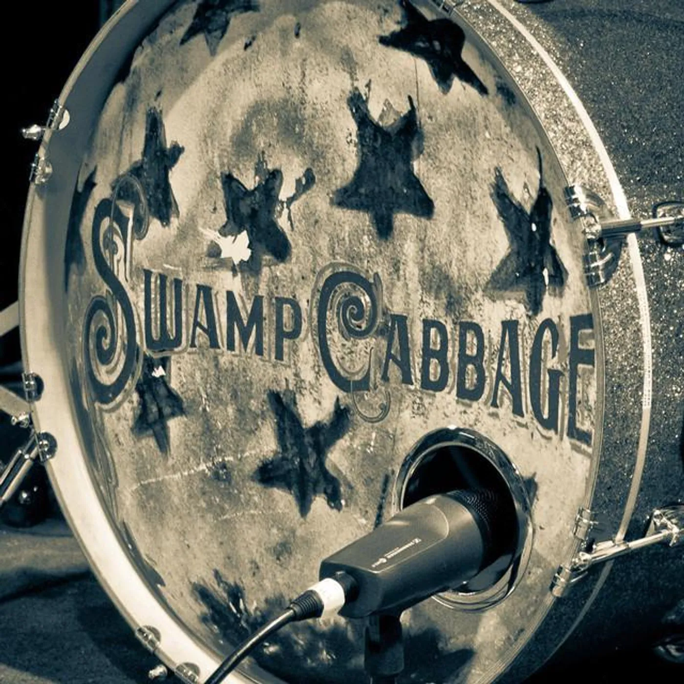Swamp Cabbage Brand Page