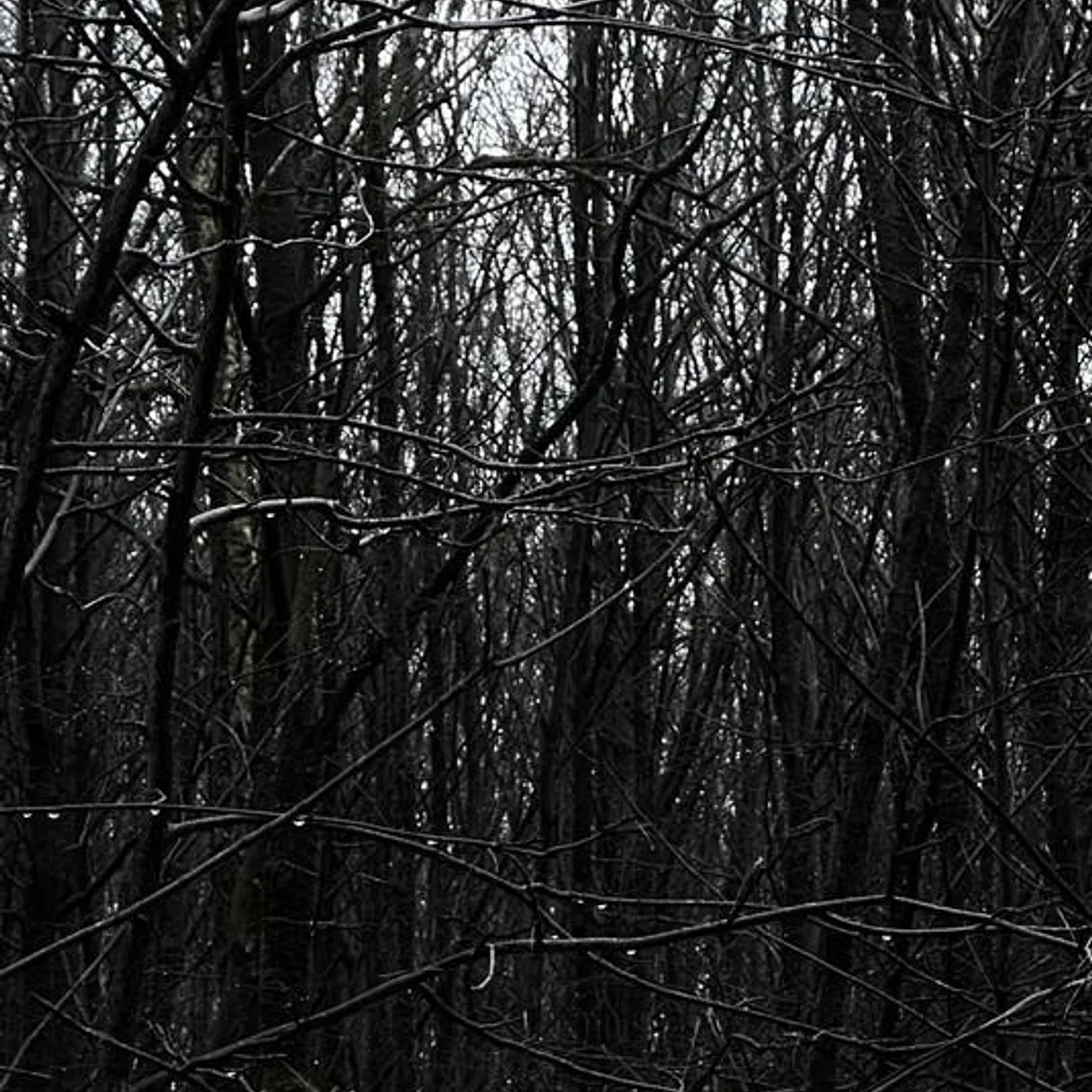 SWAMPHEAD