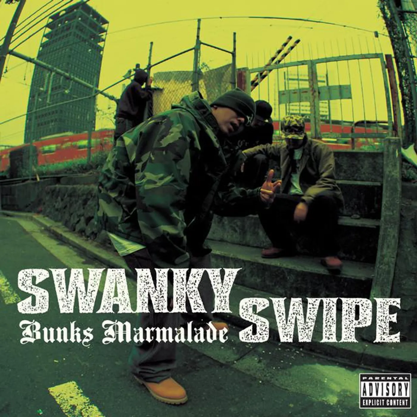SWANKY SWIPE Brand Page