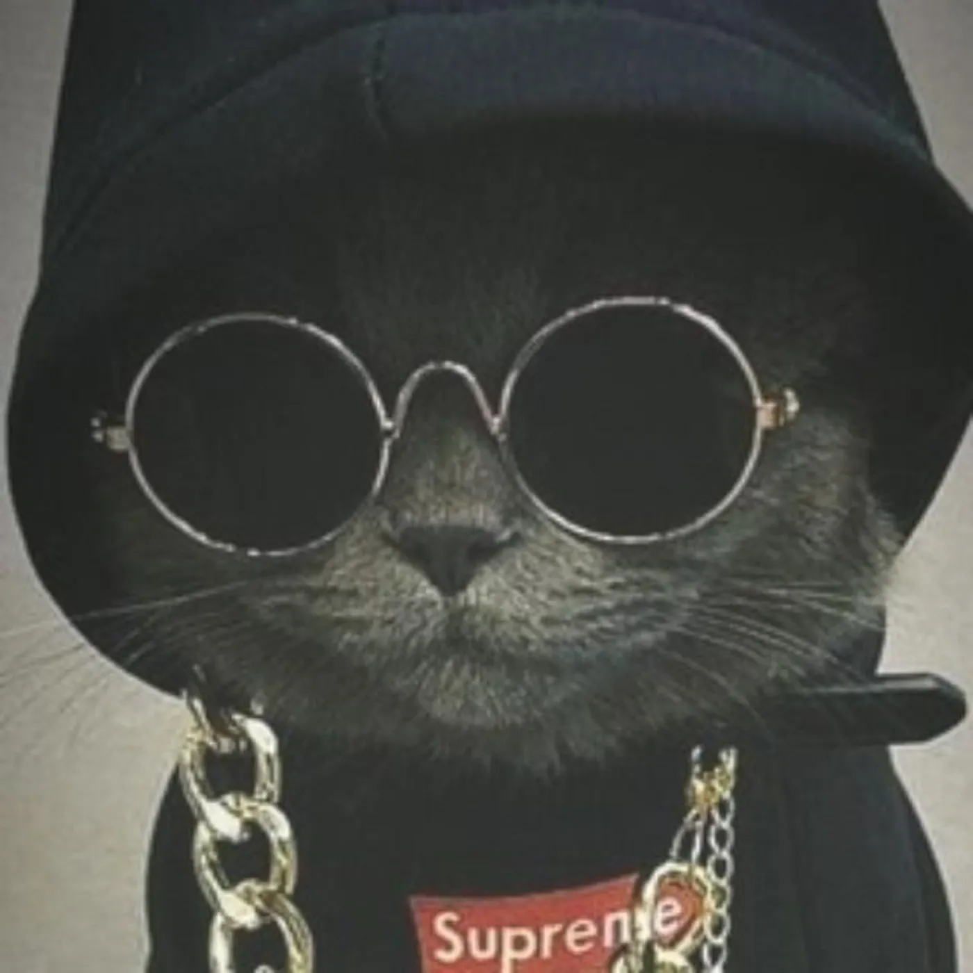 SXCREDMANE Brand Page