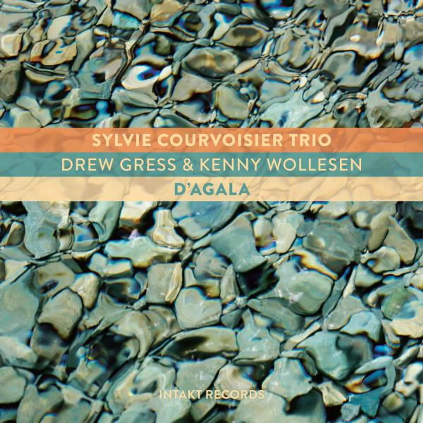 Sylvie Courvoisier Trio Brand Page