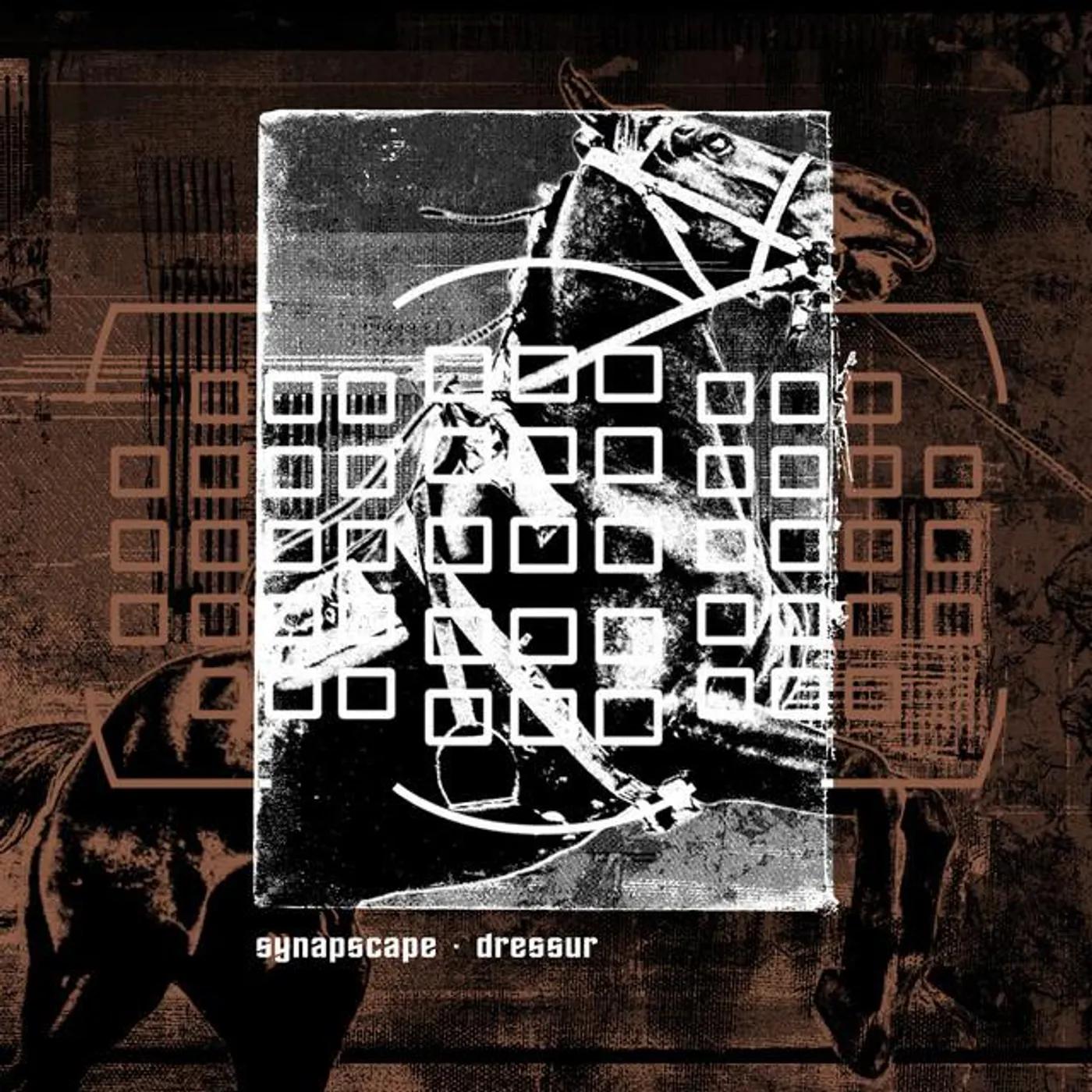 Synapscape Brand Page