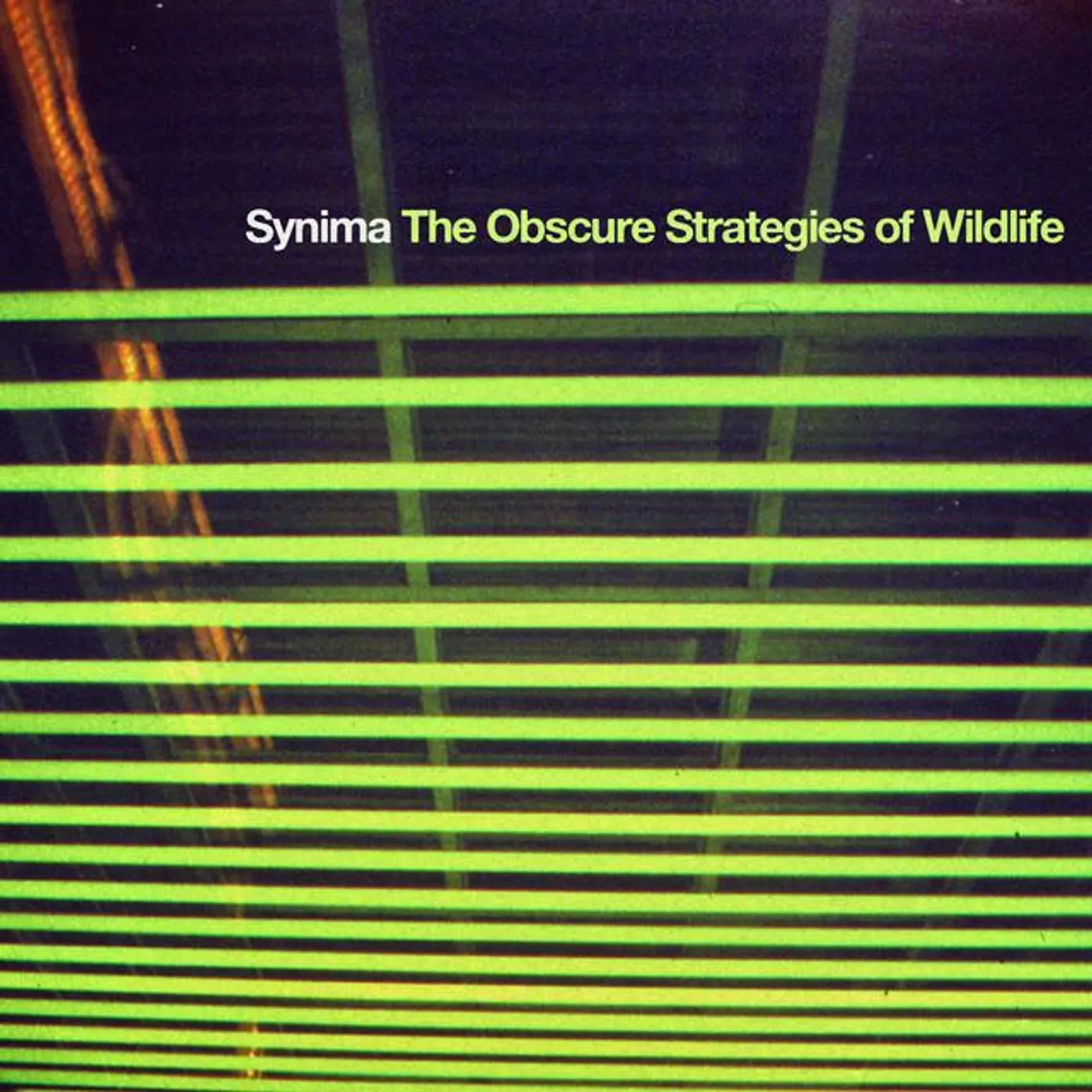 Synima Brand Page
