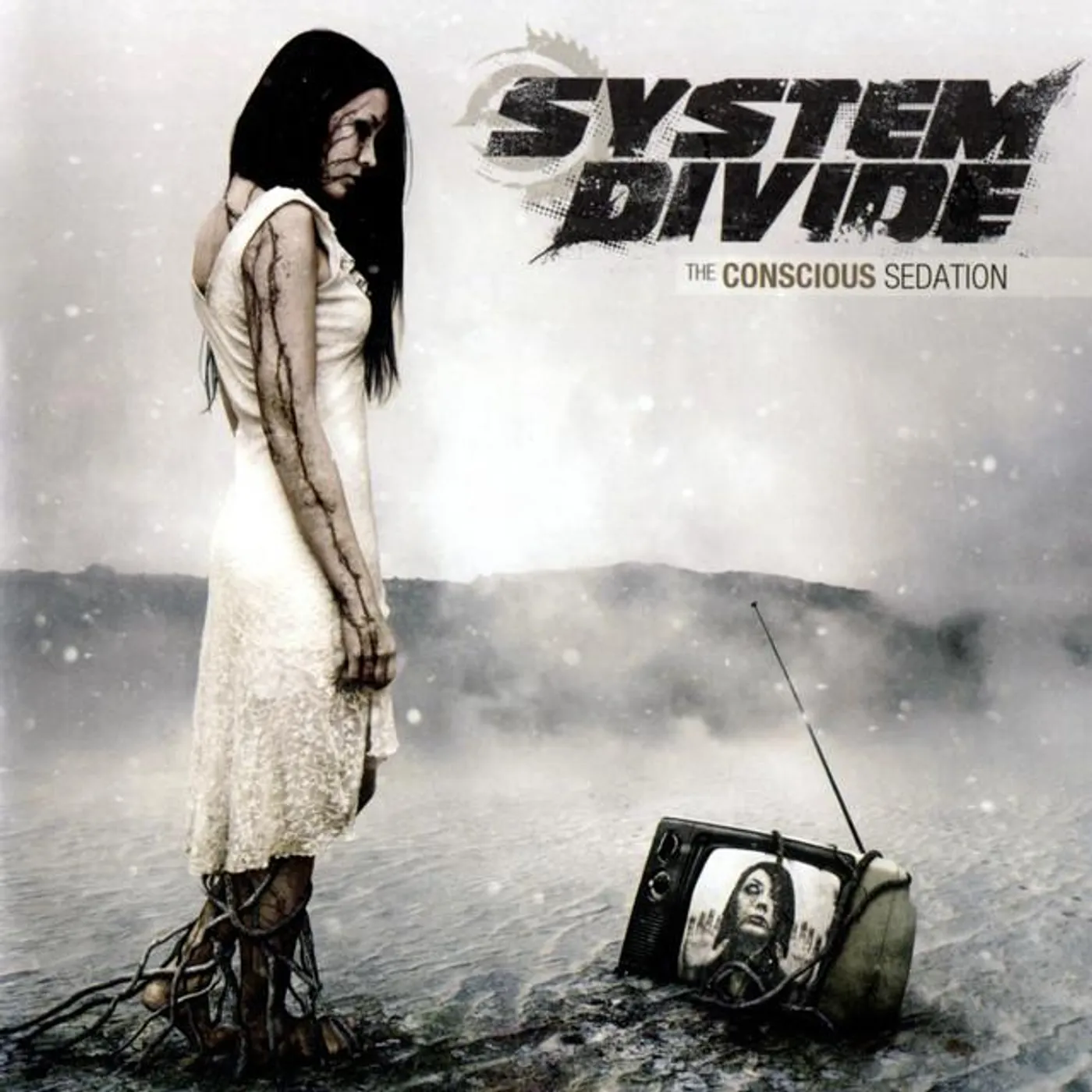 System Divide