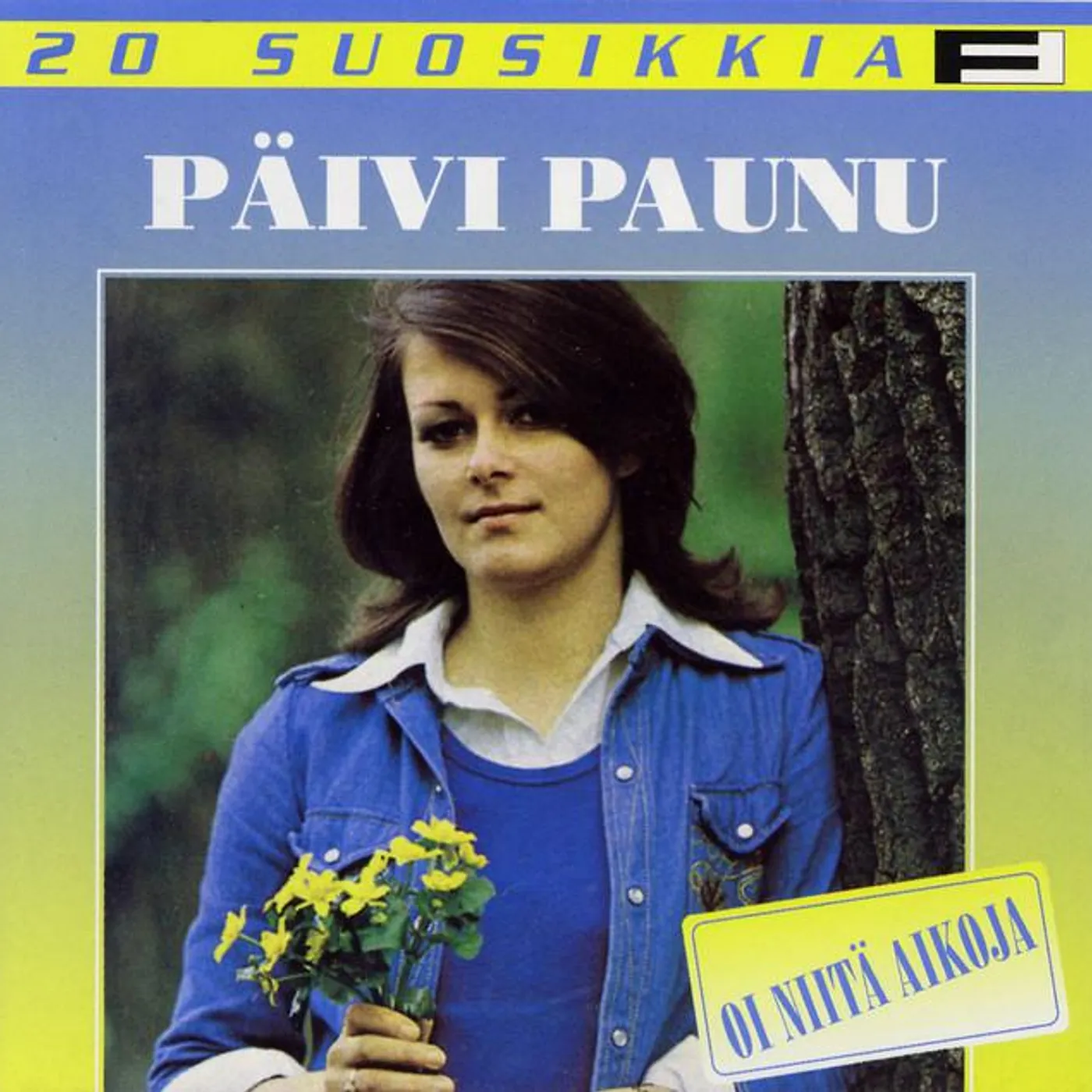 Päivi Paunu Brand Page
