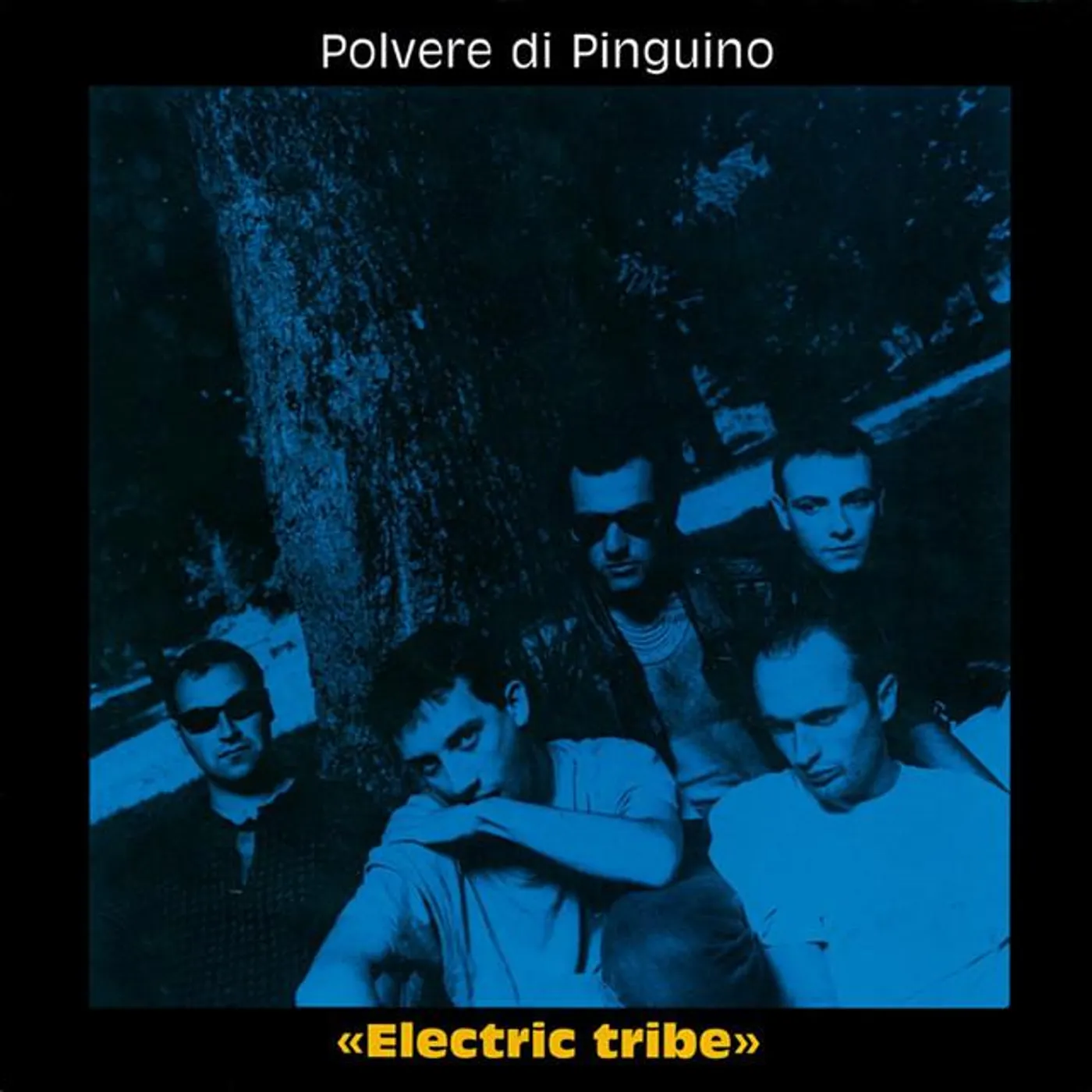 Polvere Di Pinguino