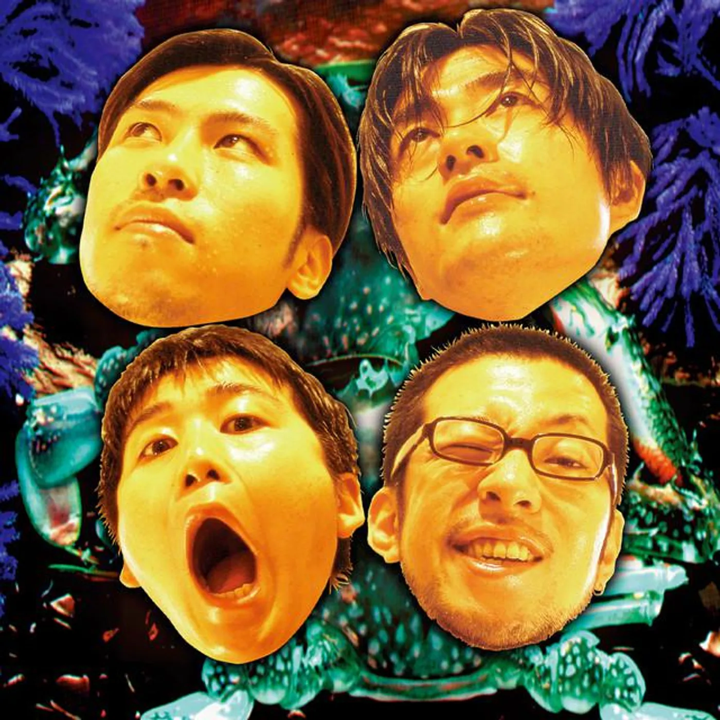 popcatcher