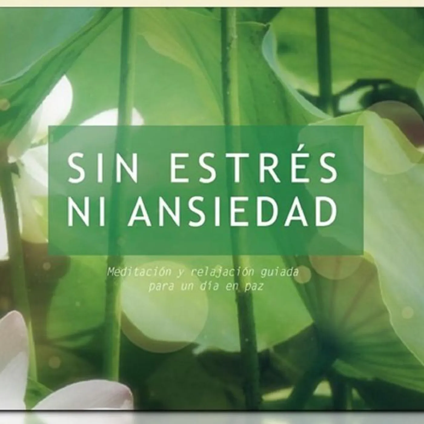 Positiva Mente Brand Page