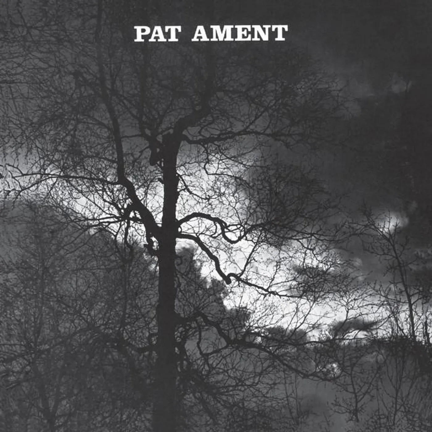 Pat Ament