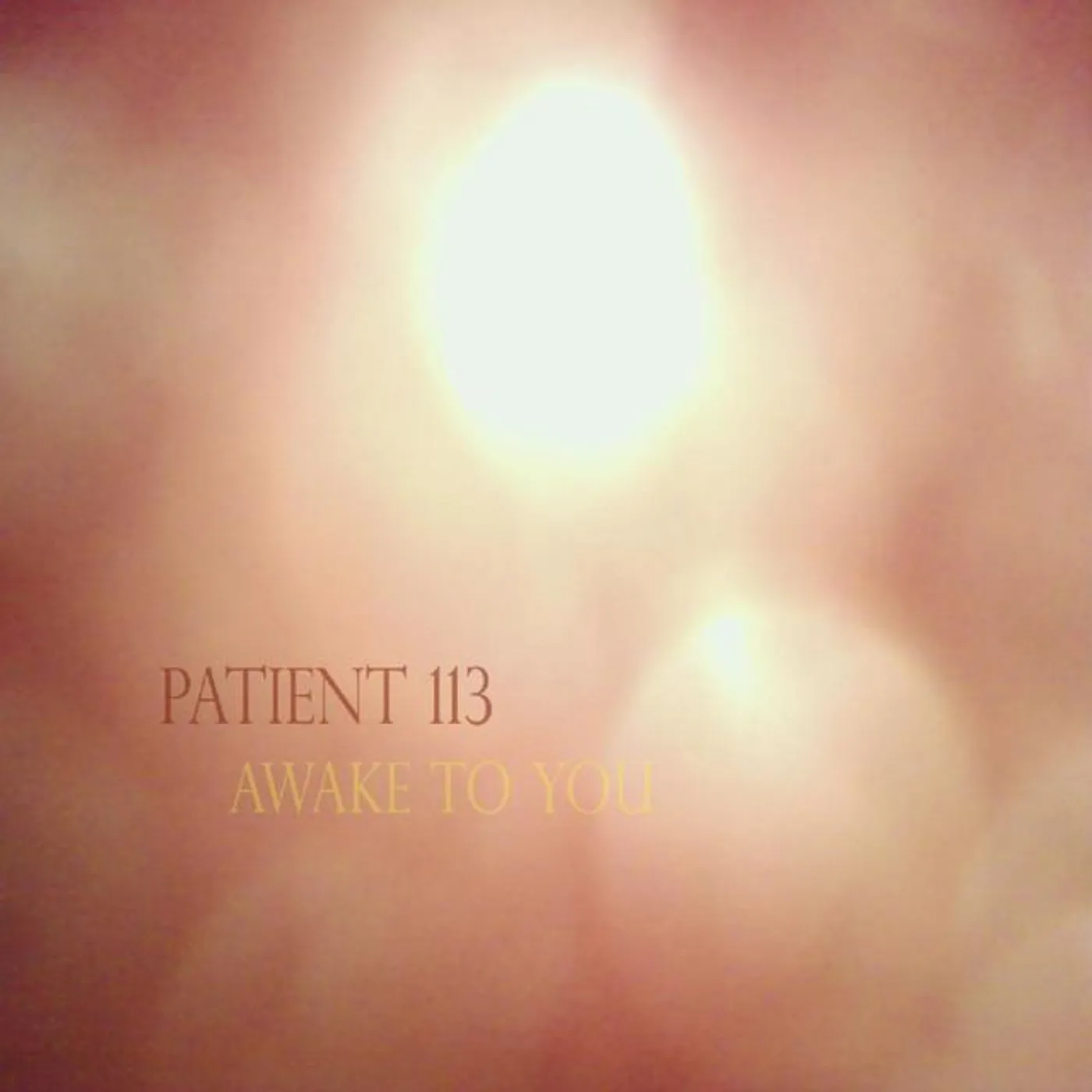 Patient 113 Brand Page