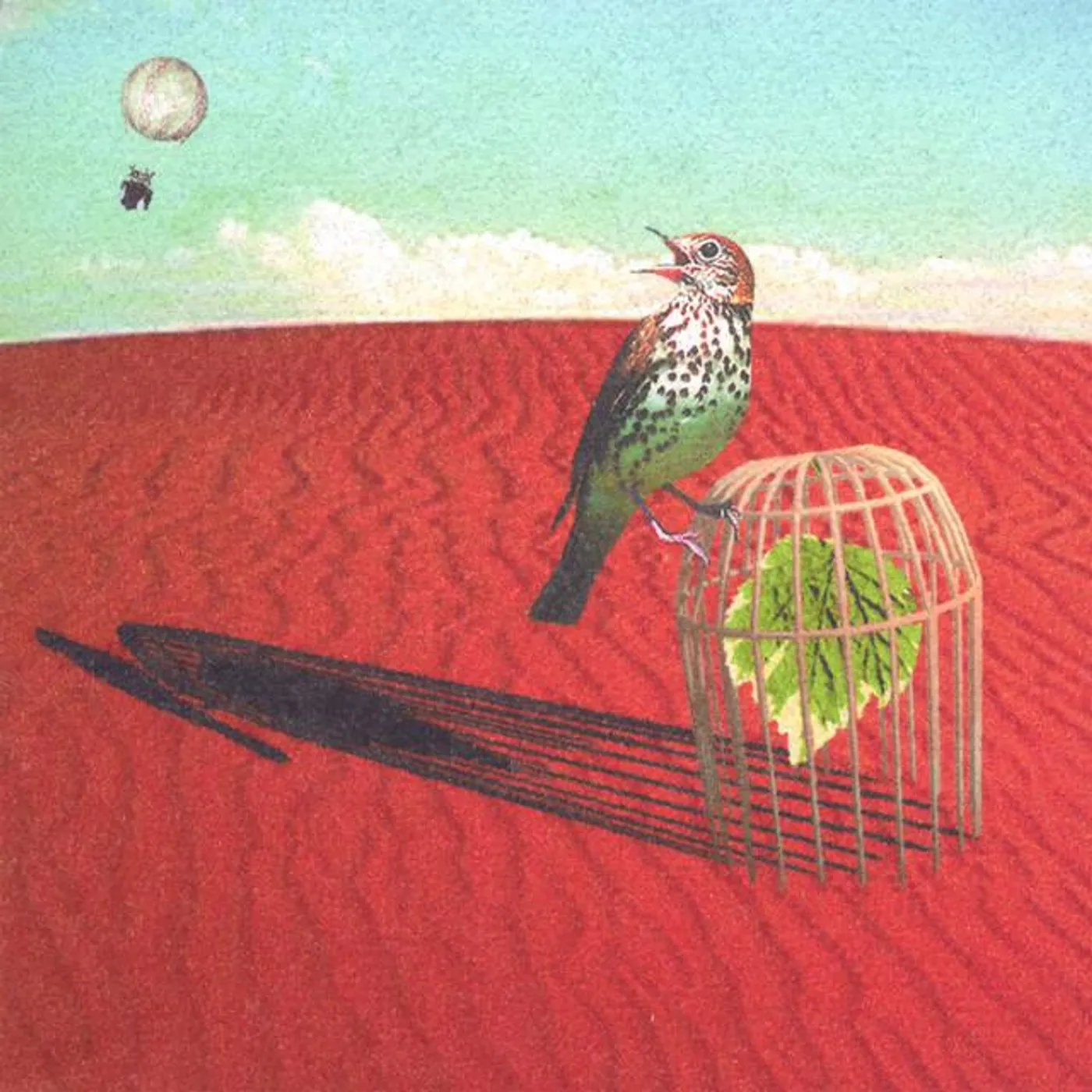 Patrick Briscoe