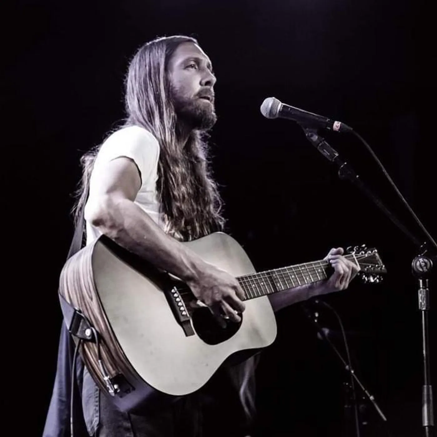 Paul & The Tall Trees Brand Page