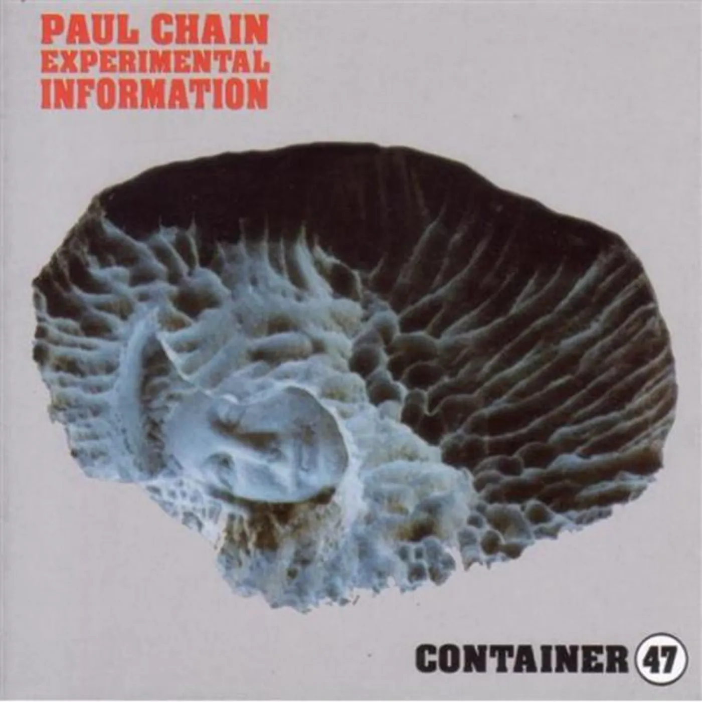 Paul Chain Experimental Information