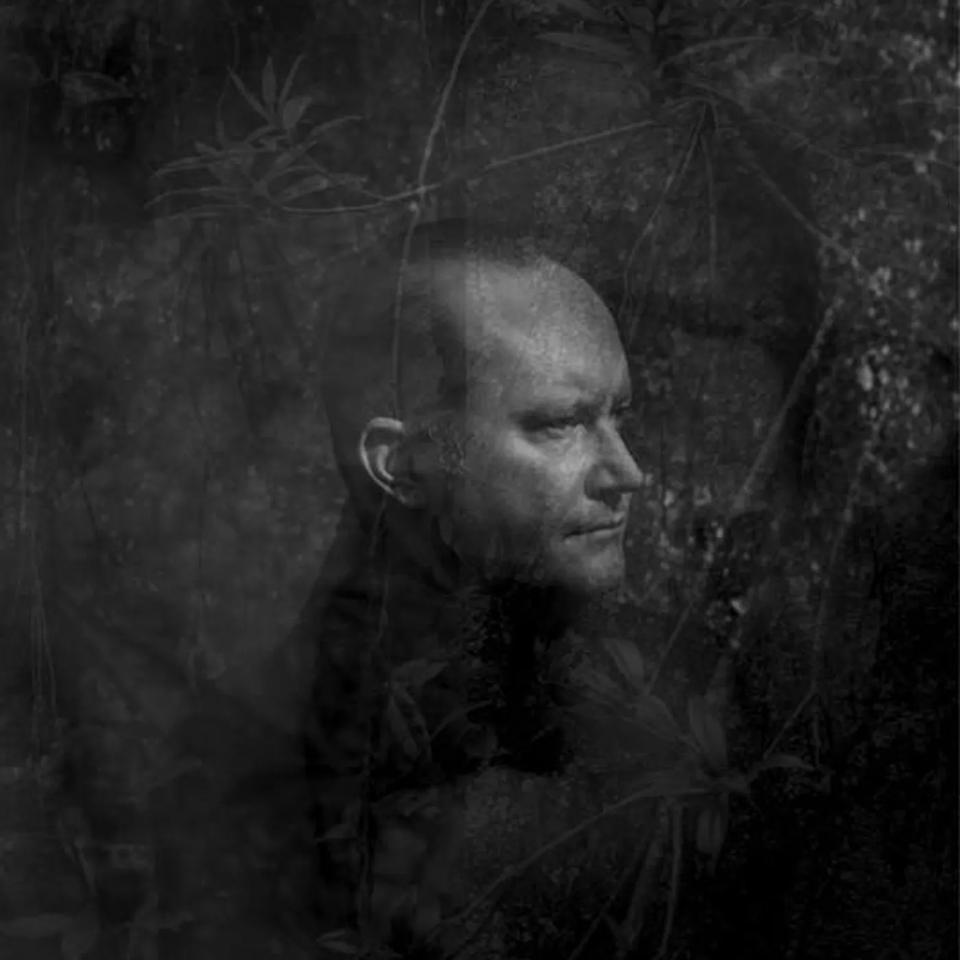 Paul McLaney Brand Page