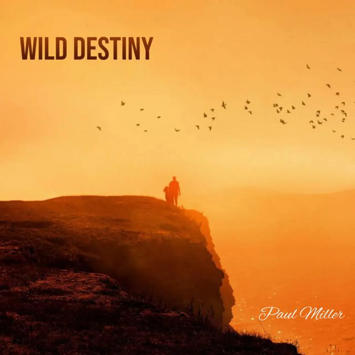 Paul Miller Brand Page