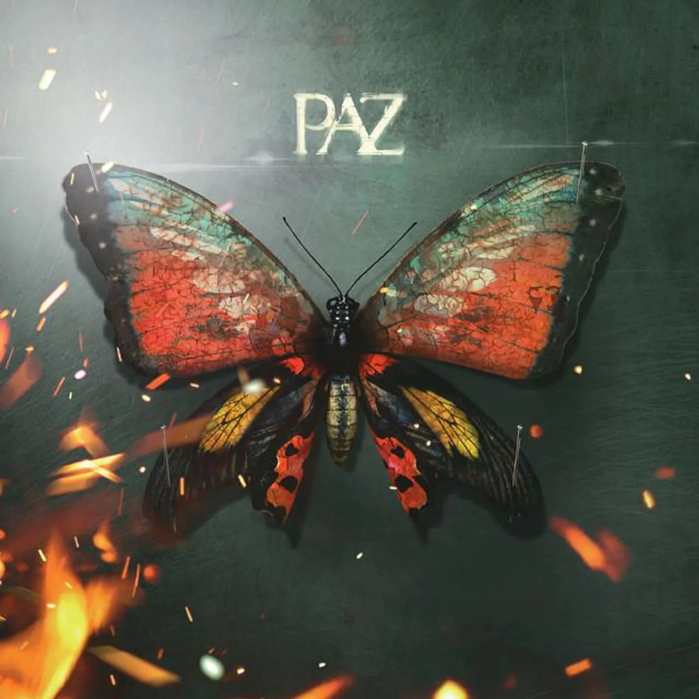 Paz Brand Page