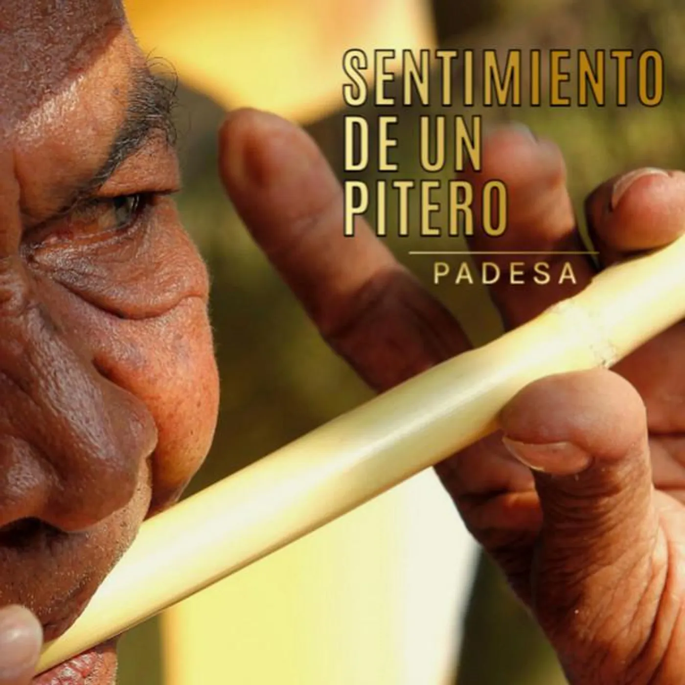 PADESA Brand Page