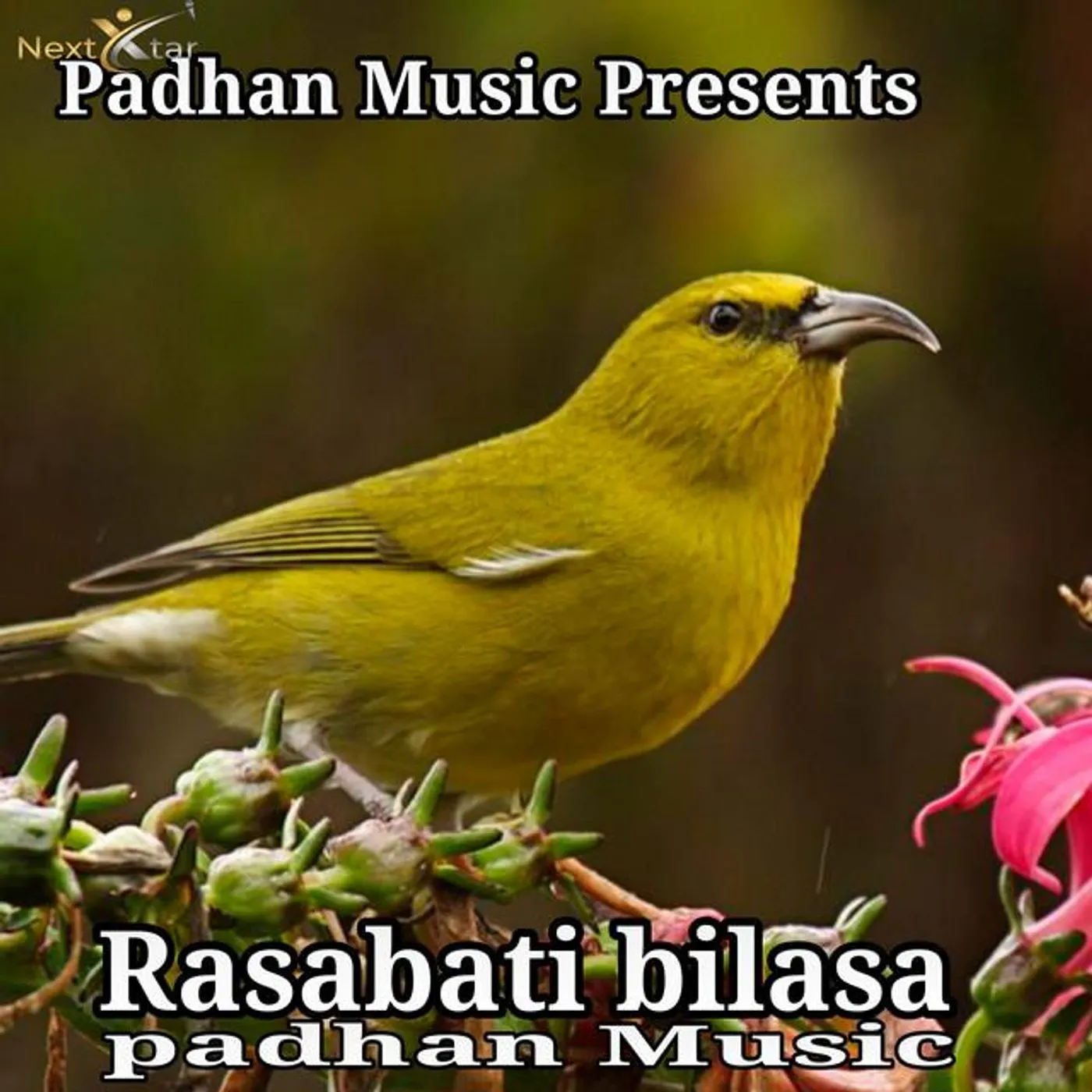 Padhan Music