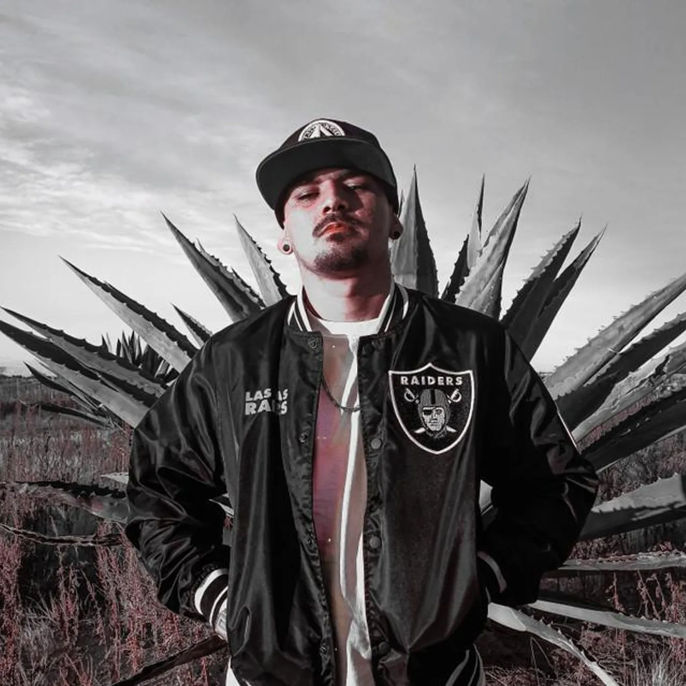 Padrino 43 Brand Page