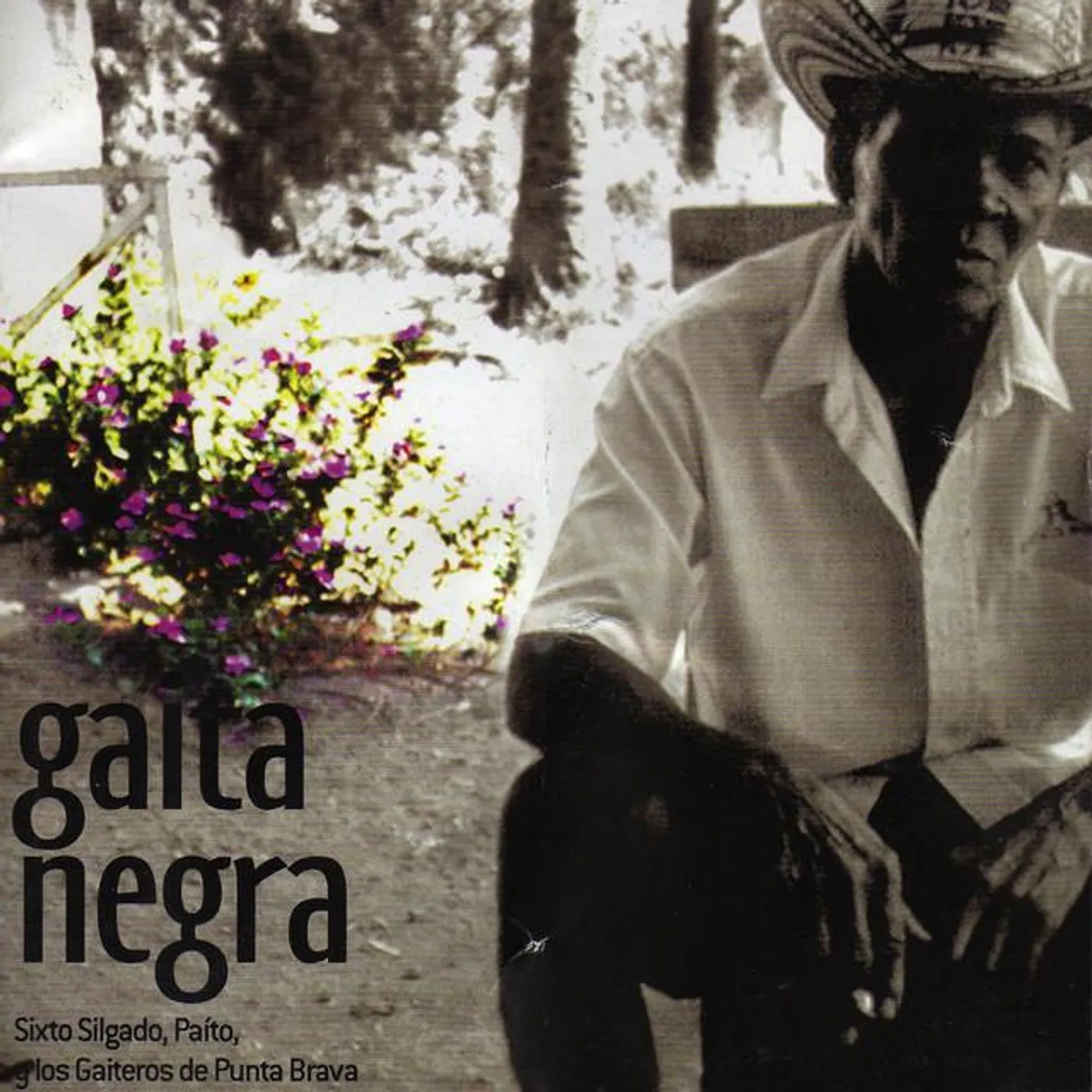 Paito y los Gaiteros de Punta Brava