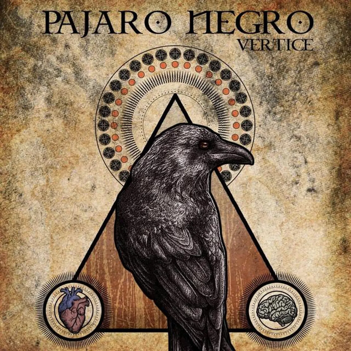 Pajaro Negro