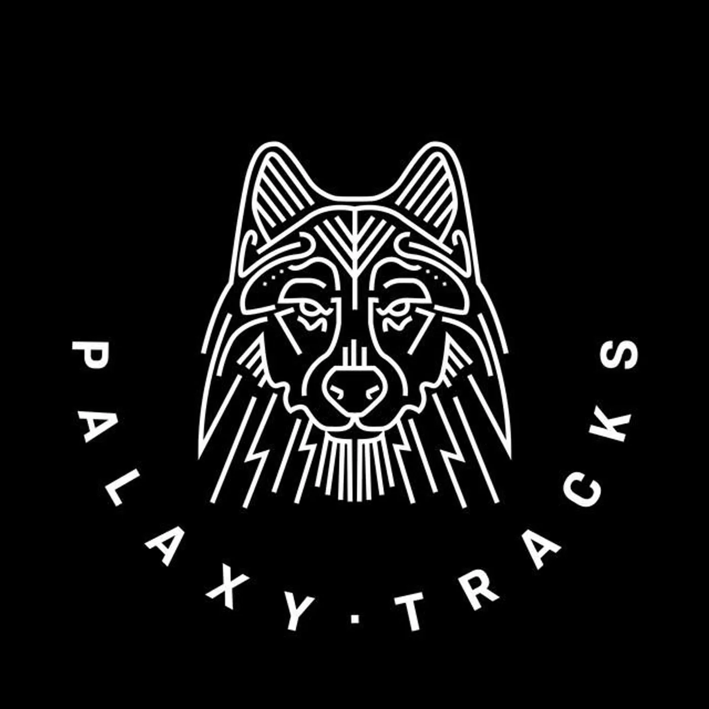 Palaxy Tracks Brand Page