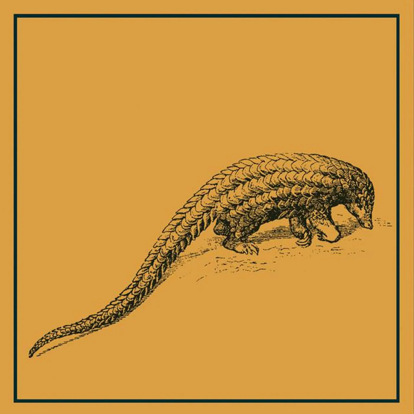 Pangolin SoundSystem