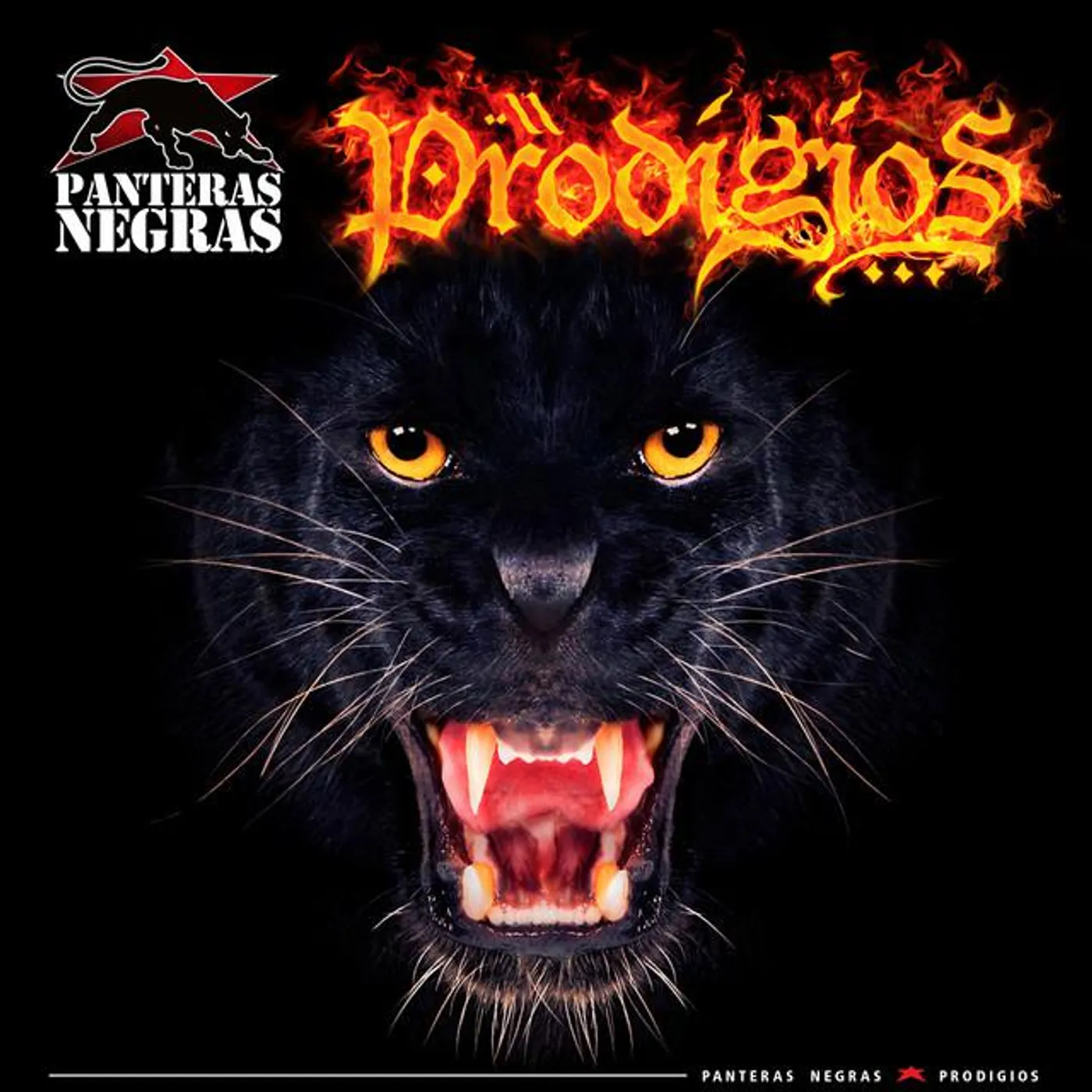 Panteras Negras