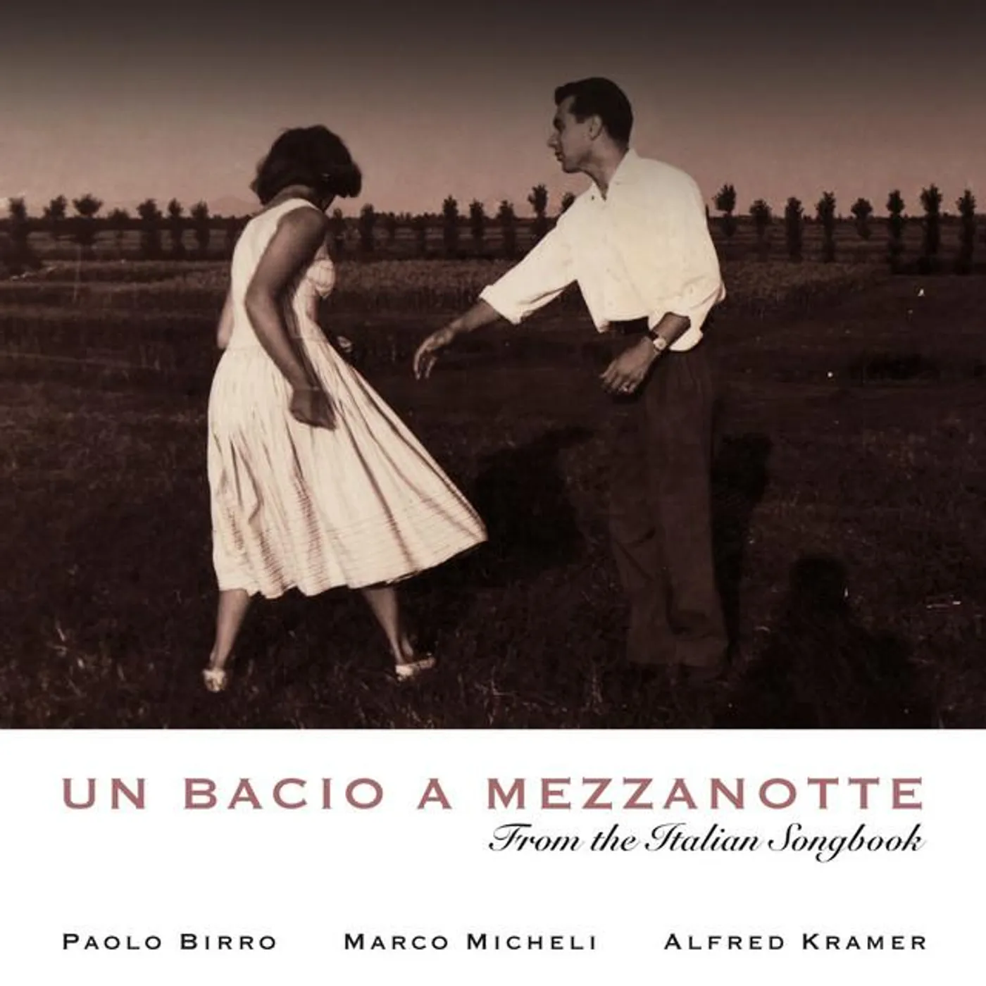 Paolo Birro Trio Brand Page