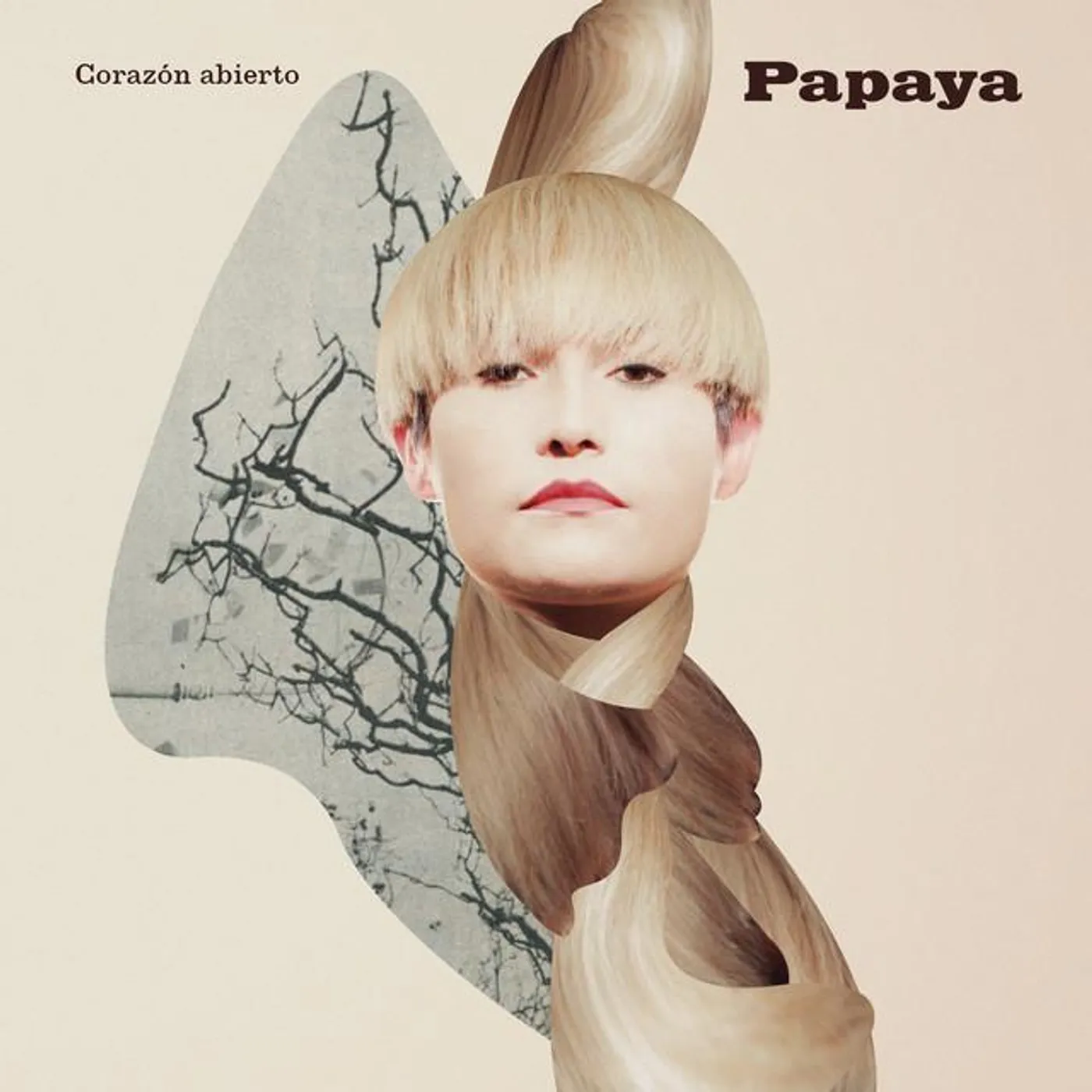 Papaya Brand Page