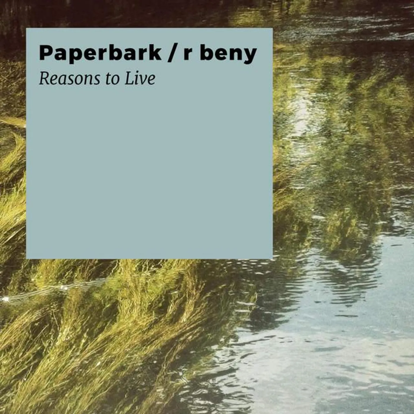 Paperbark Brand Page