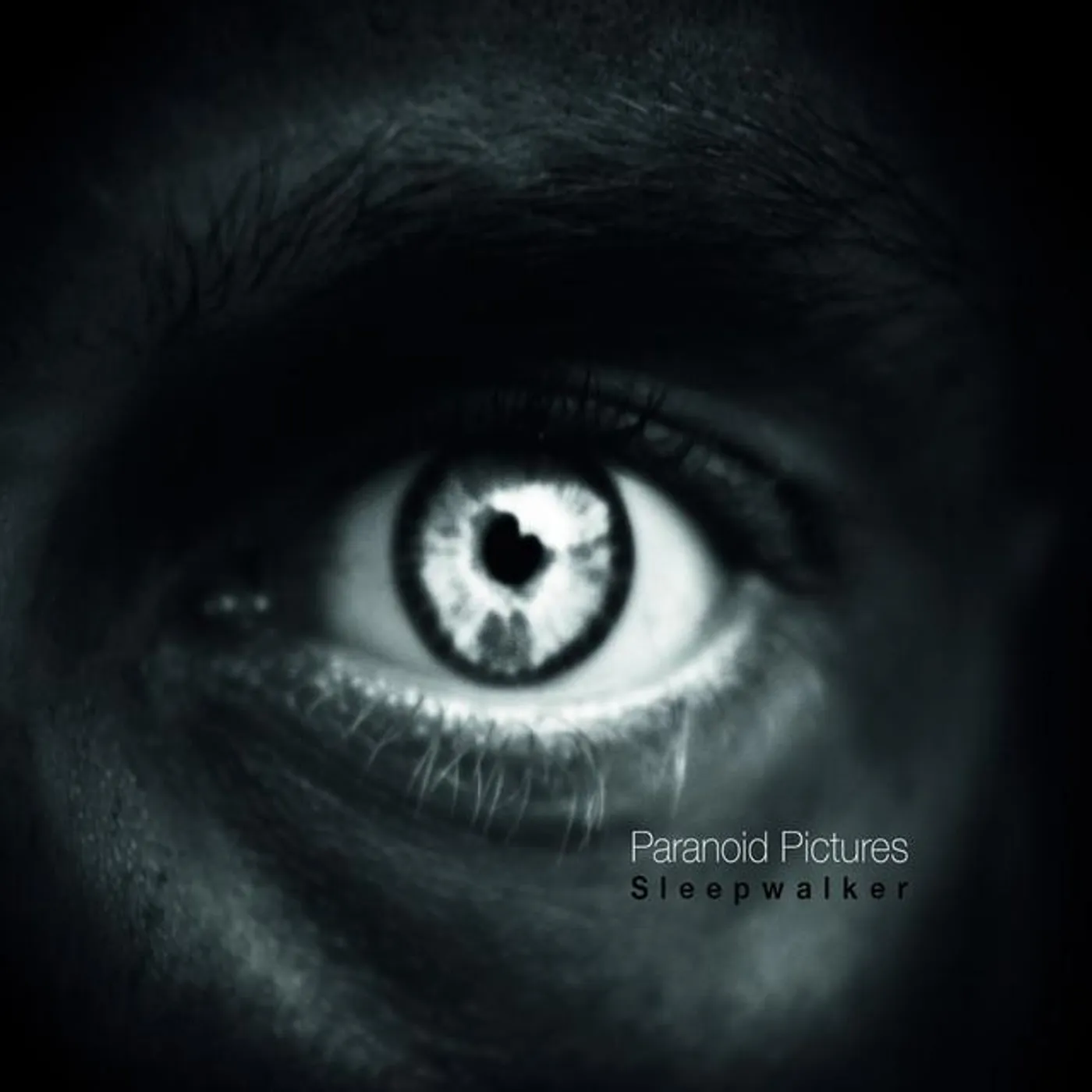 Paranoid Pictures