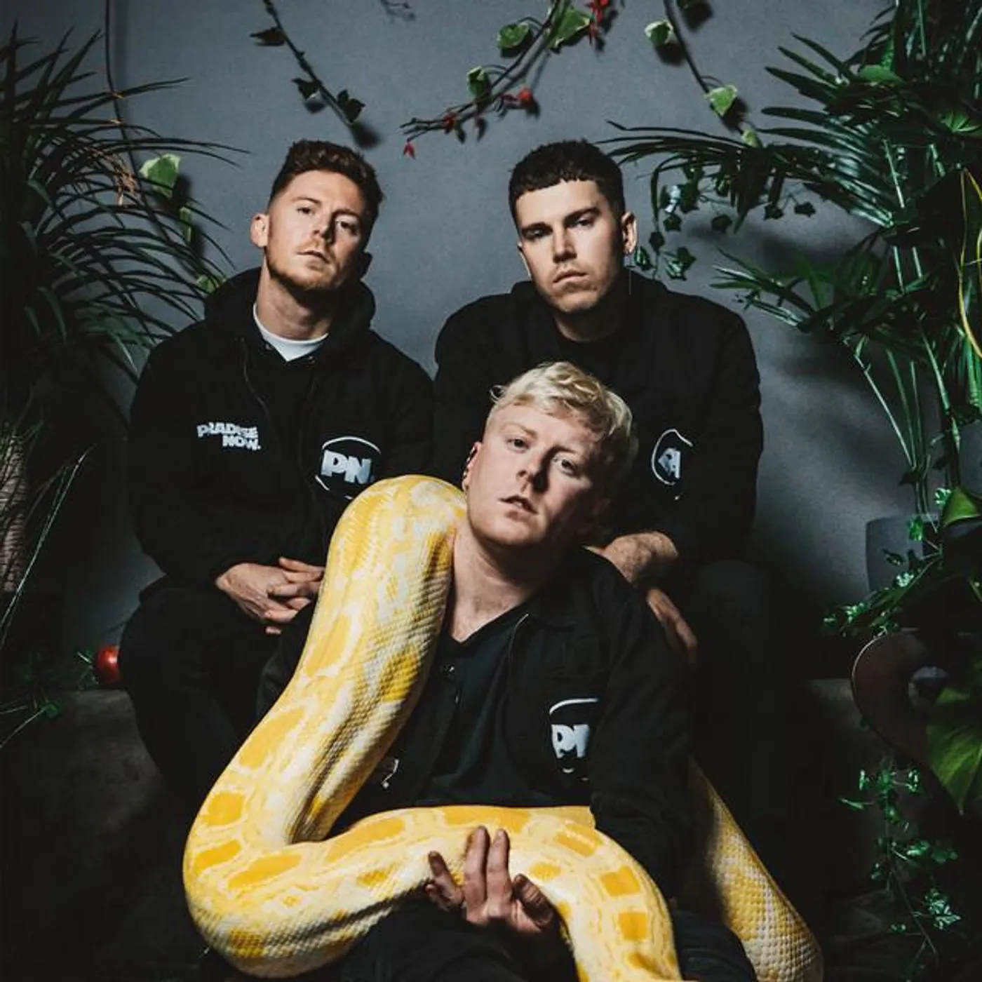 Paradise Now Brand Page