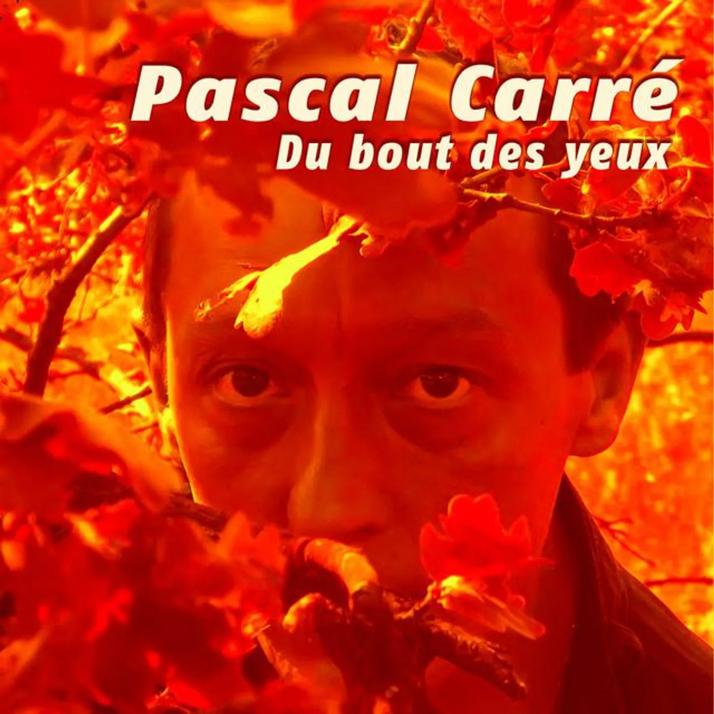 Pascal Carré Brand Page