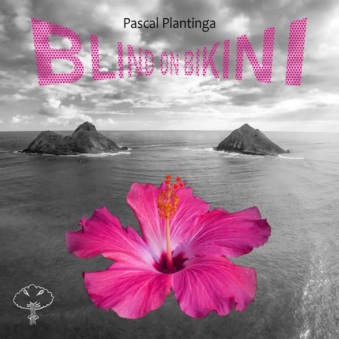 Pascal Plantinga Brand Page