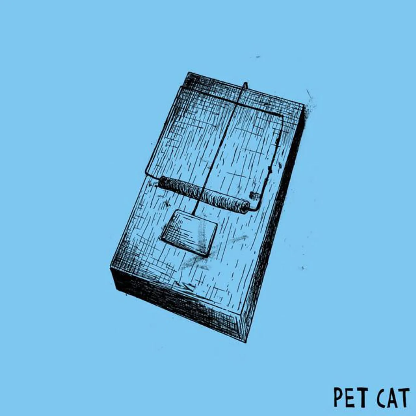 Pet Cat