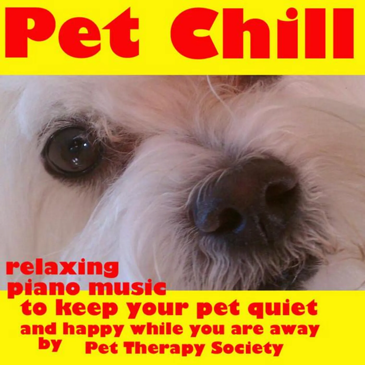Pet Therapy Society