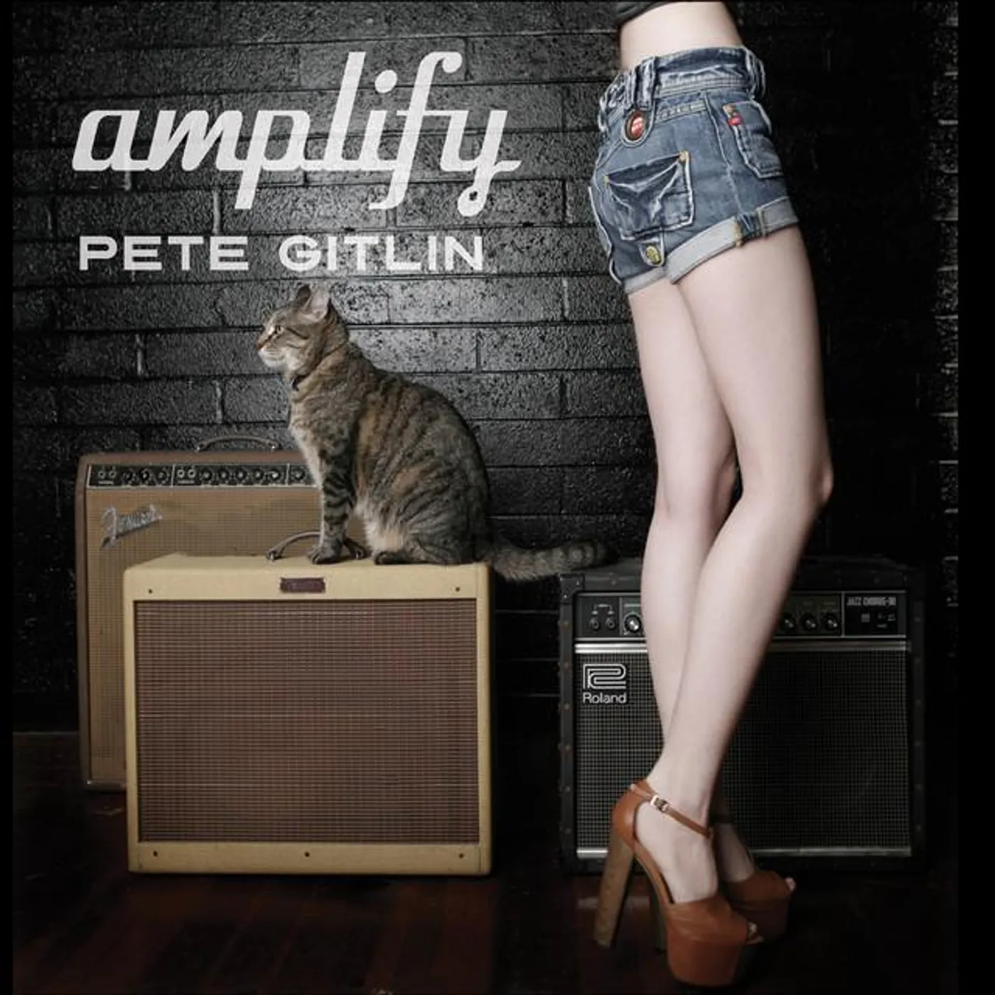 Pete Gitlin