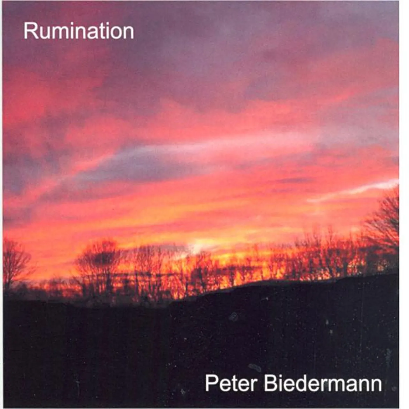 Peter Biedermann