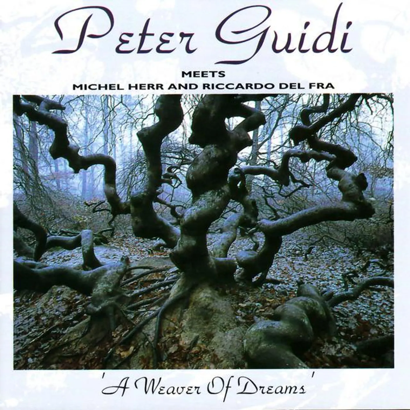 Peter Guidi