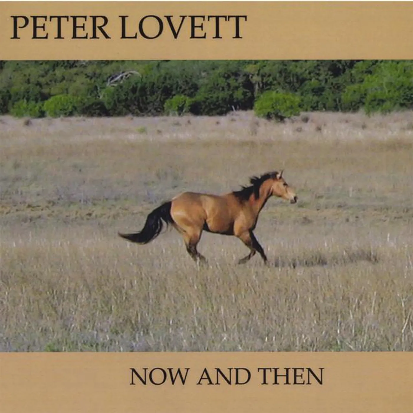 Peter Lovett